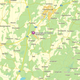 Katbild ver Madngsholm